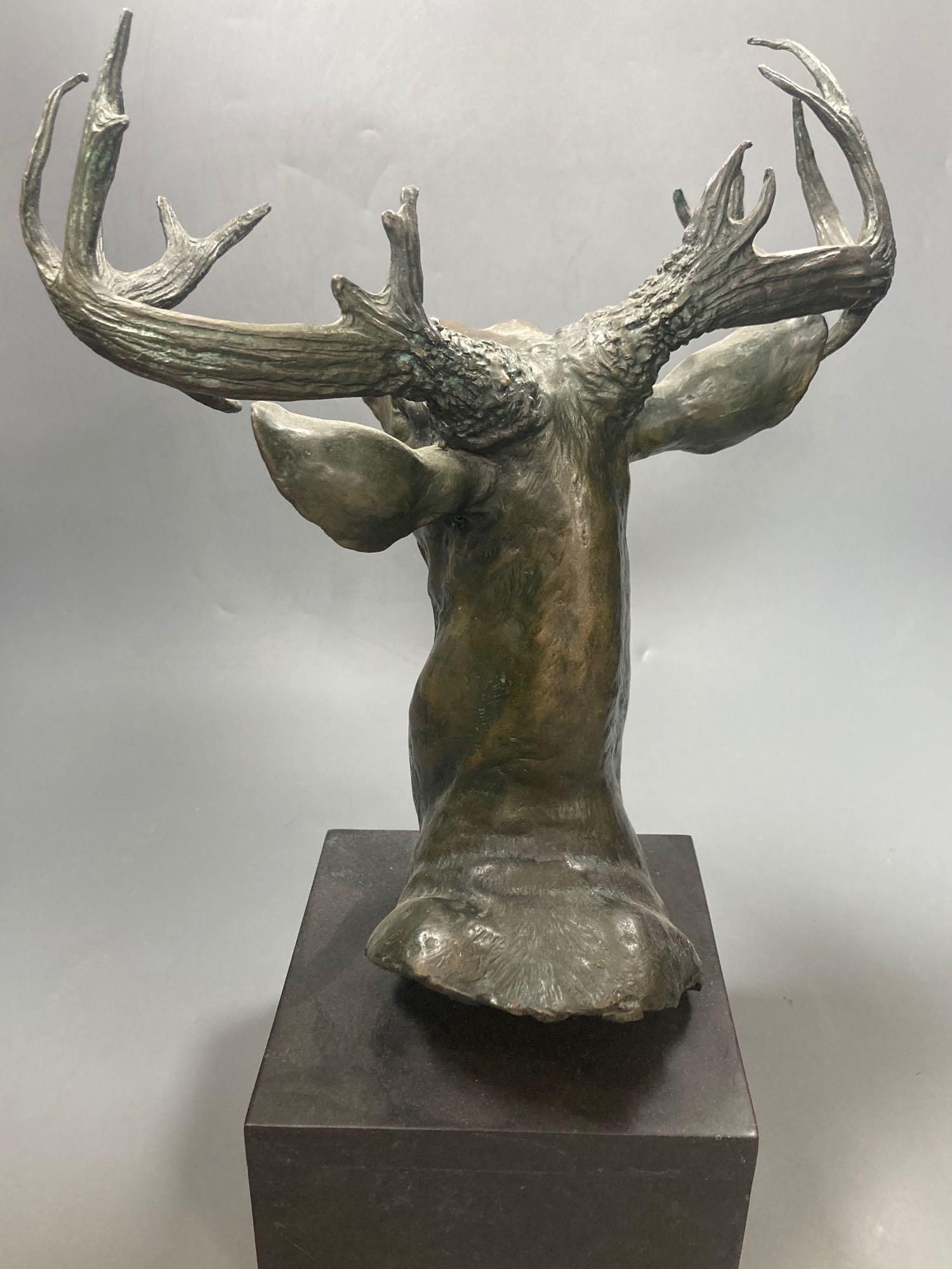 A bronze model of a stags head, 45cm including plinth